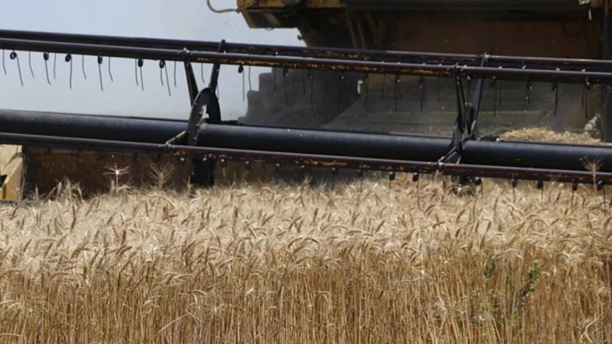 Kanada tarım sektörünün 2033'e kadar 30 bin yeni çiftçiye ihtiyacı var